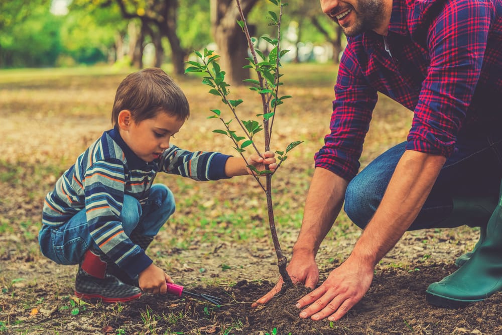 Tree-Planters-2-1