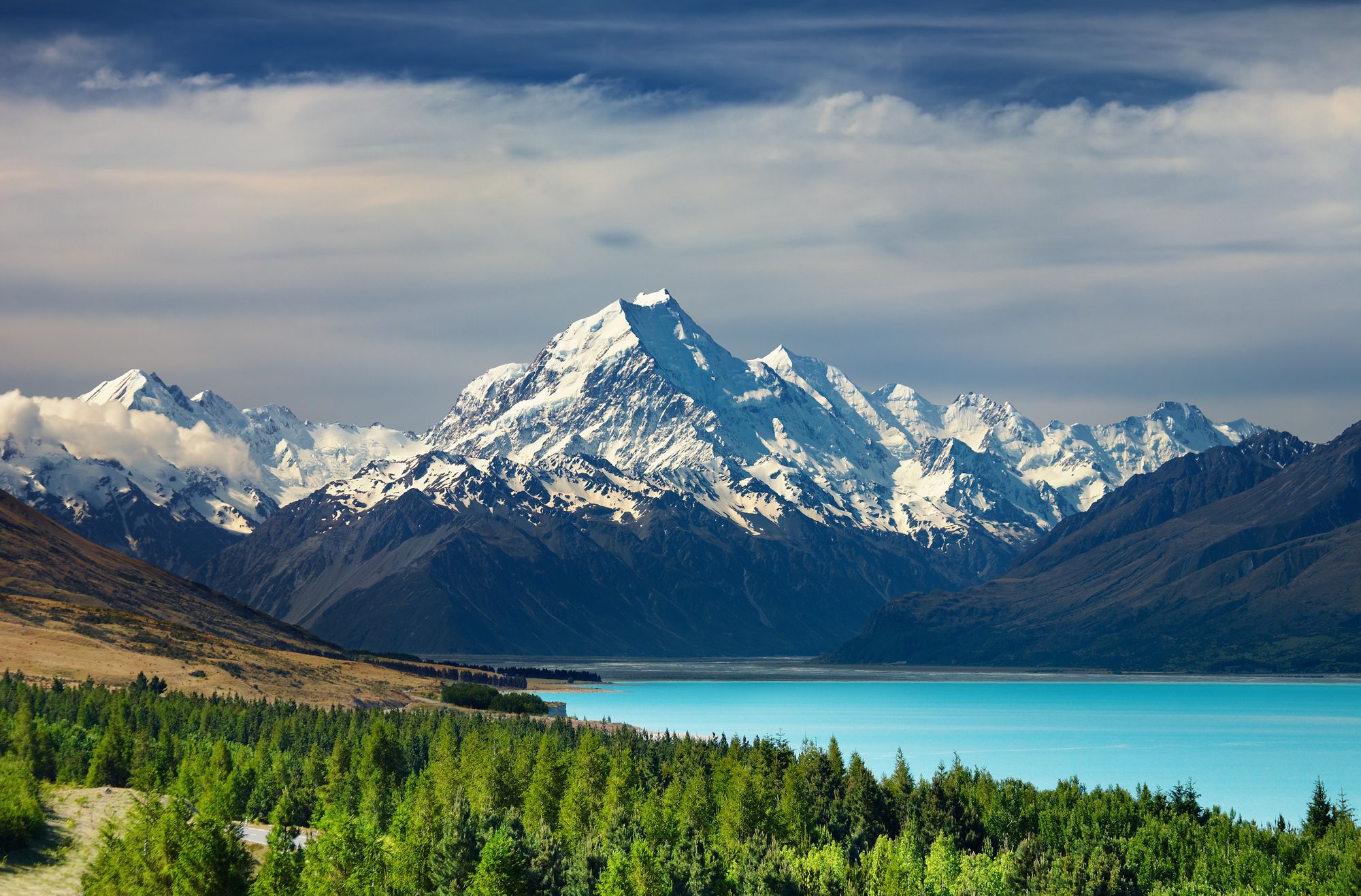 case study tourism in new zealand